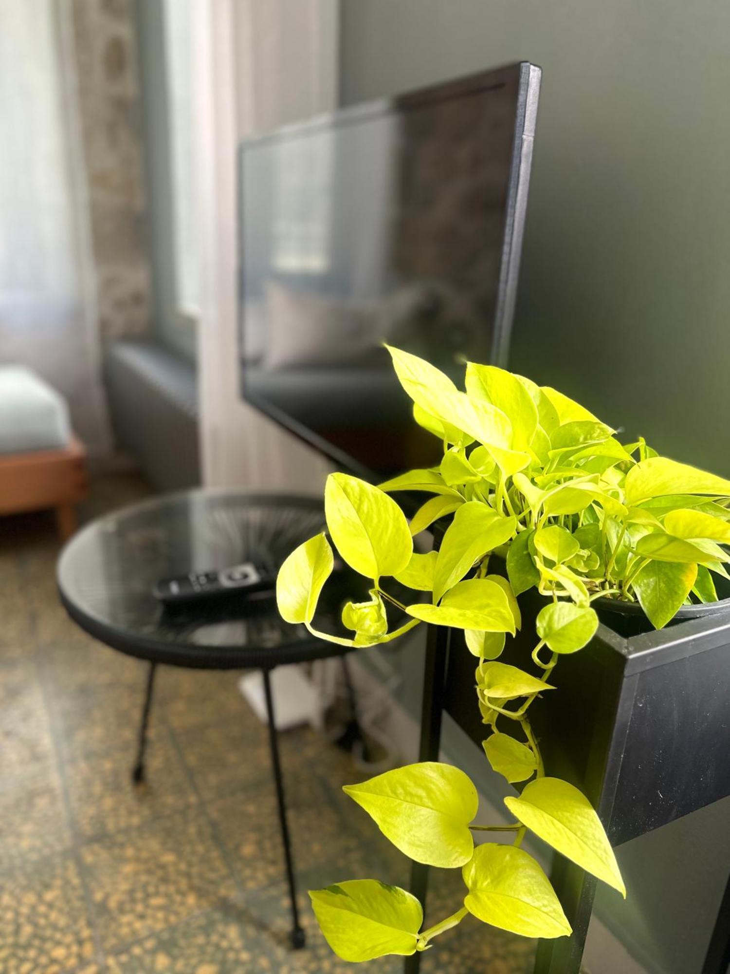 Stone Guest House In The City 이라클리온 외부 사진